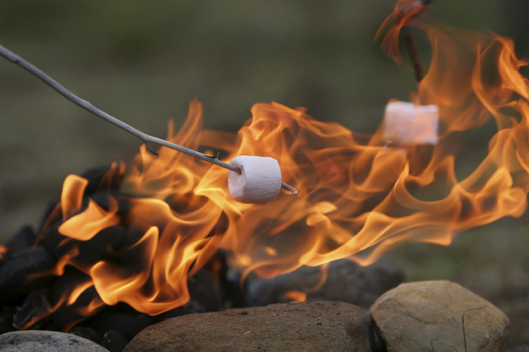 Photo of Marshmallow on a stick over a flame