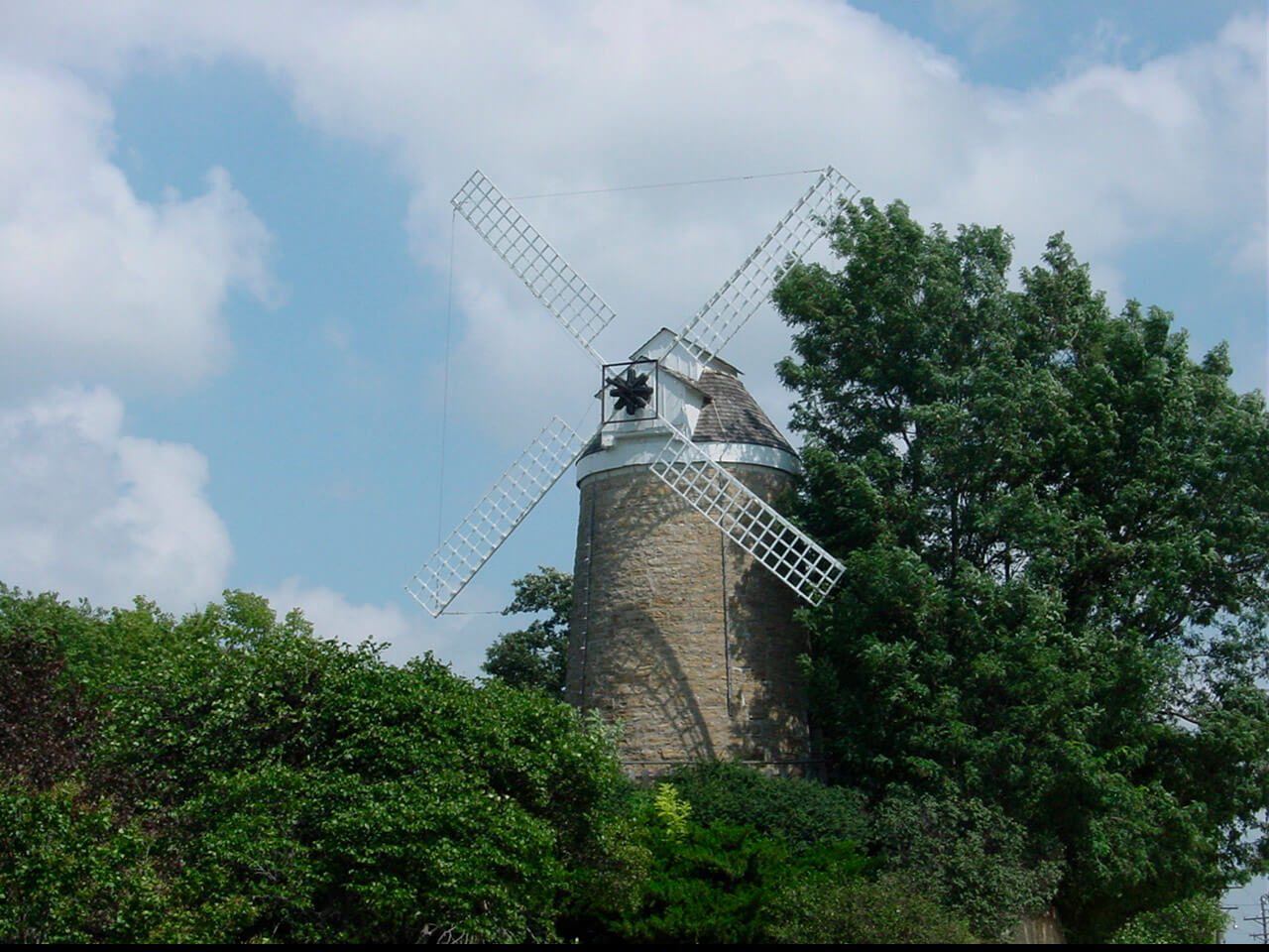 Close up photo of Dutch Mill